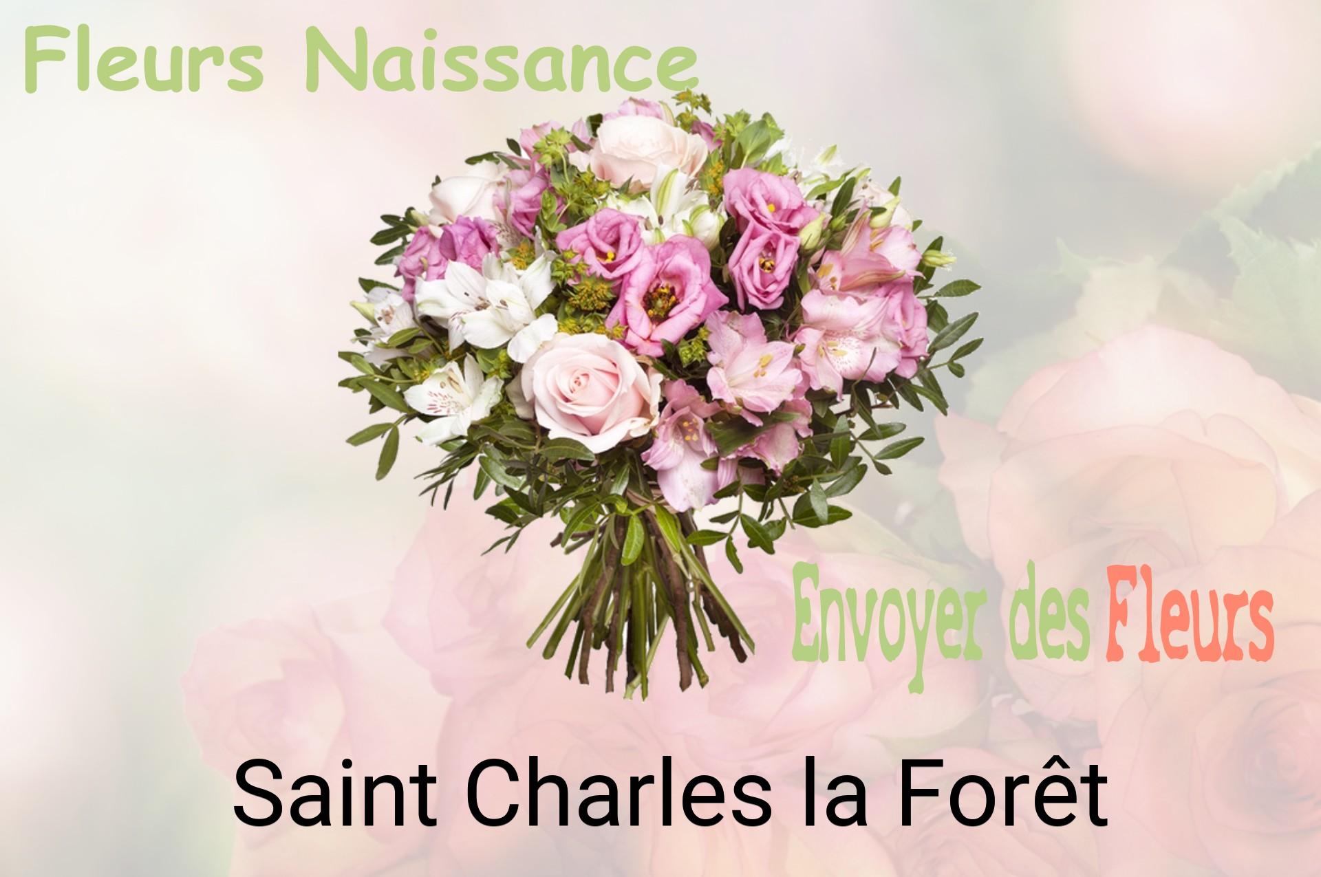 Bouquet de fleurs de naissance livré à Saint-Charles-la-Forêt
